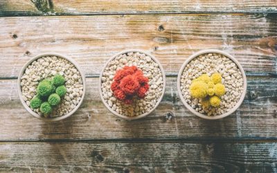 3 estrategias ganadoras para conseguir adelgazar