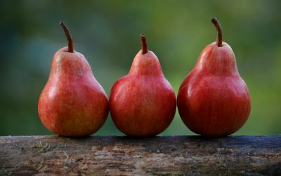 3 razones para dejar las dietas (y conseguir adelgazar)