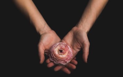 Cómo crear el cuerpo que quieres (y olvidarte del que temes)