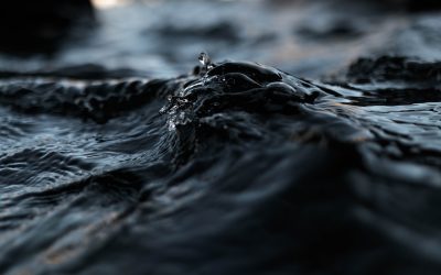 Emociones y comida: el miedo